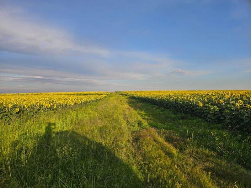 8 Bedroom Property for Sale in Bethlehem Rural Free State